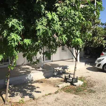 Dirgen Fethiye